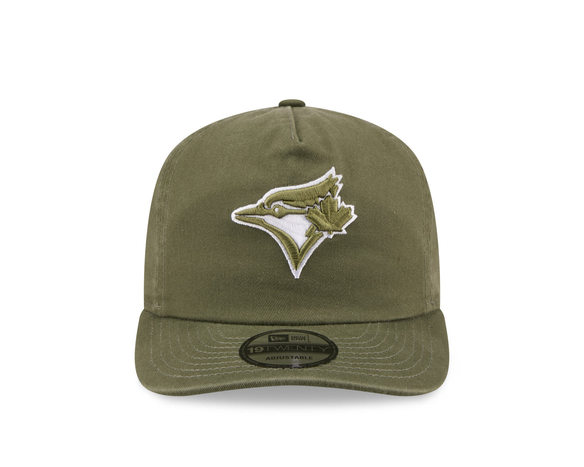 Toronto Blue Jays MLB New Era Men's Olive 19Twenty Color Pack Snapback Hat