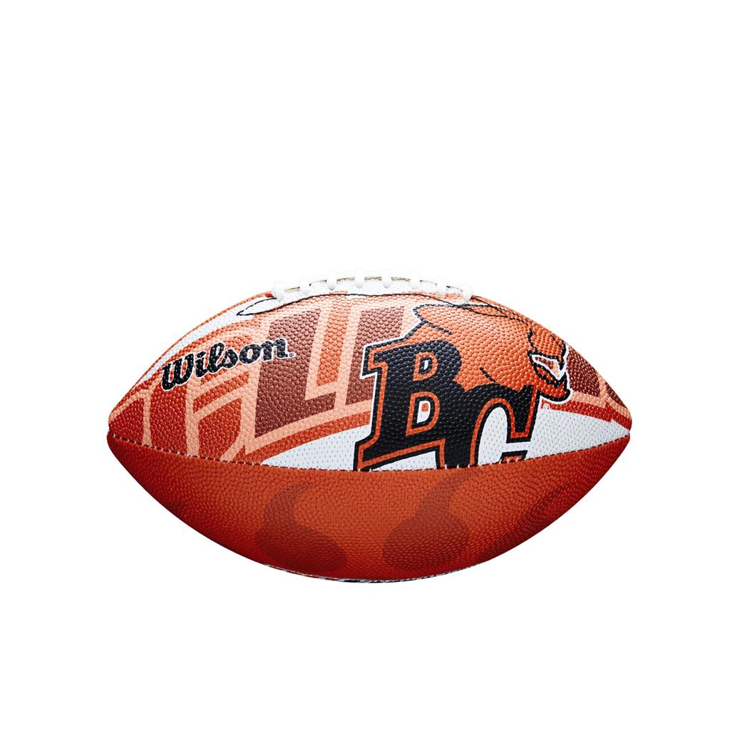 NFL ボール Wilson NFL Bin Ball Official American Football Ball | Goalinn ボール