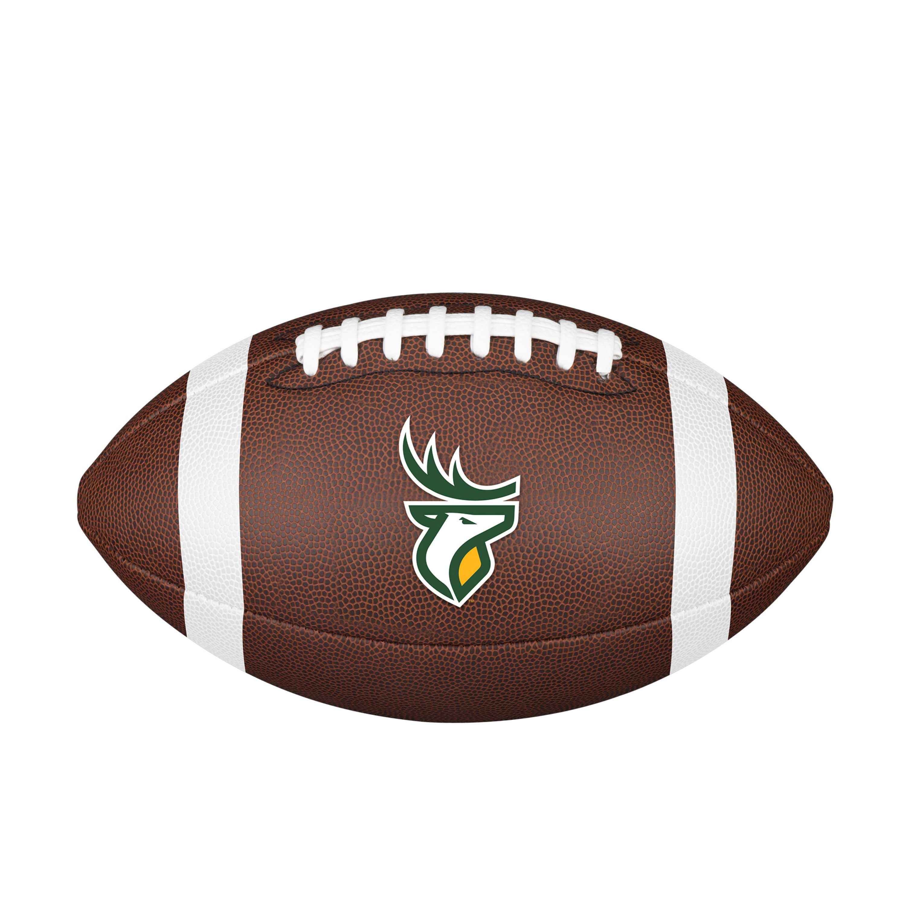Edmonton Elks CFL Wilson Backyard Legend Football