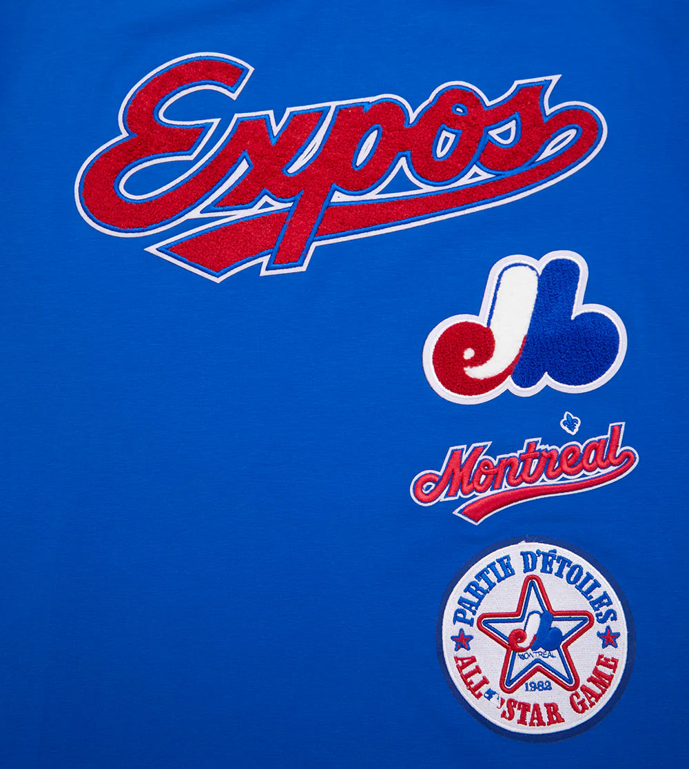 Montreal Expos MLB Pro Standard Men's Royal Cooperstown Retro Classic Striped Top T-shirt