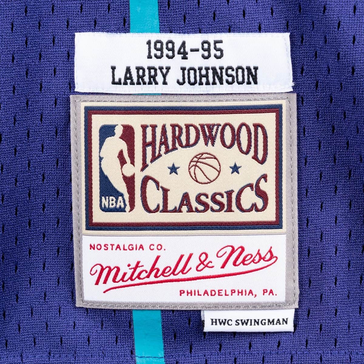 Larry Johnson Charlotte Hornets NBA Mitchell & Ness Homme Violet 1994-95 Hardwood Classics Swingman Maillot