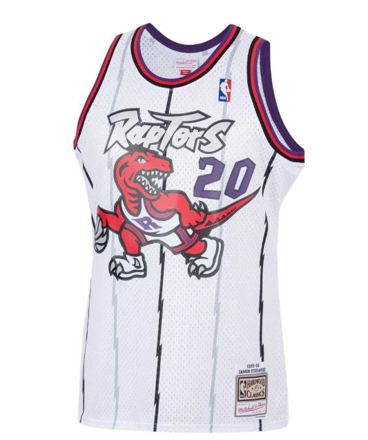 Damon Stoudamire Toronto Raptors NBA Mitchell & Ness Men's White 1995-96 Hardwood Classics Swingman Jersey
