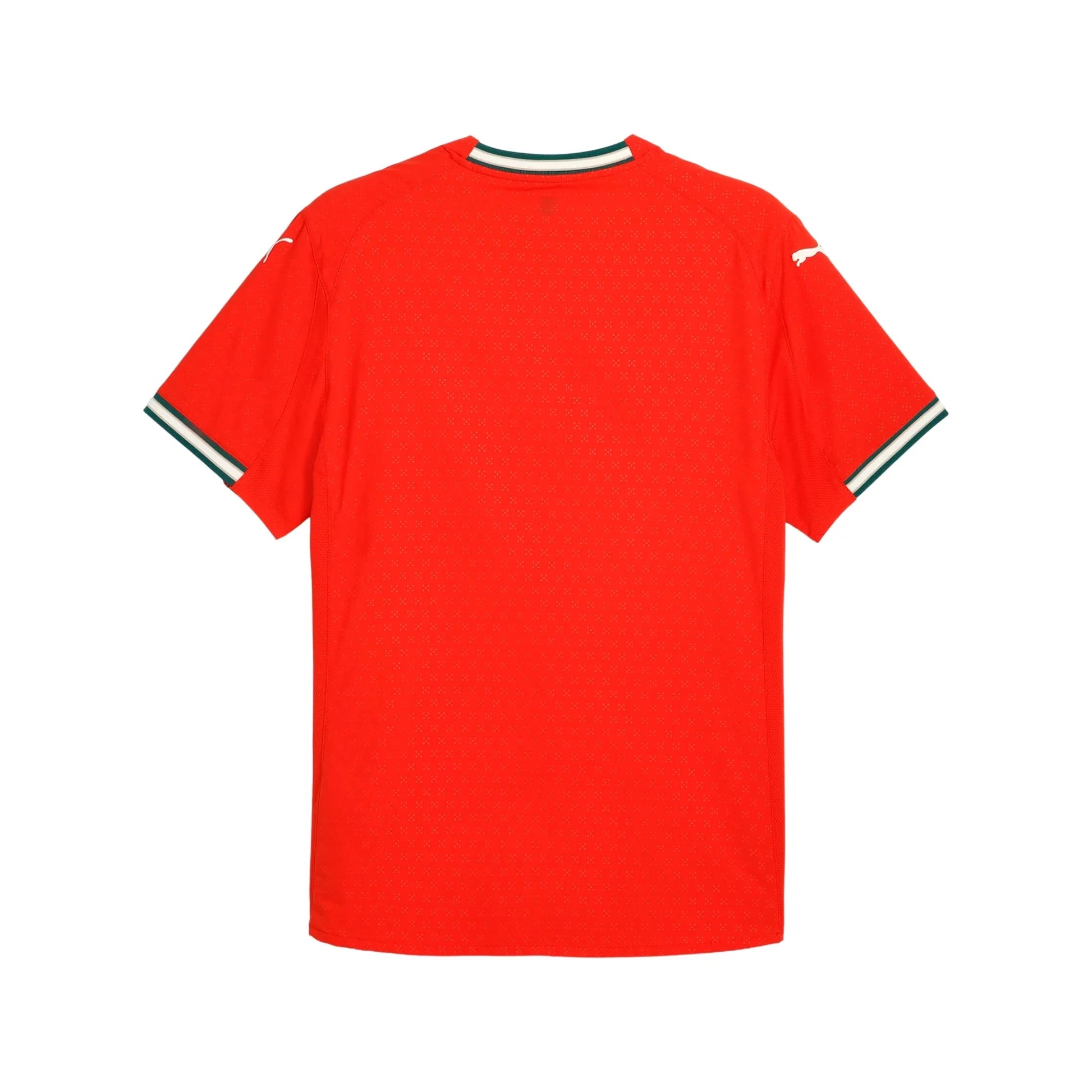 Portugal National Team FIFA Puma Men's Red 2024/25 Authentic Jersey