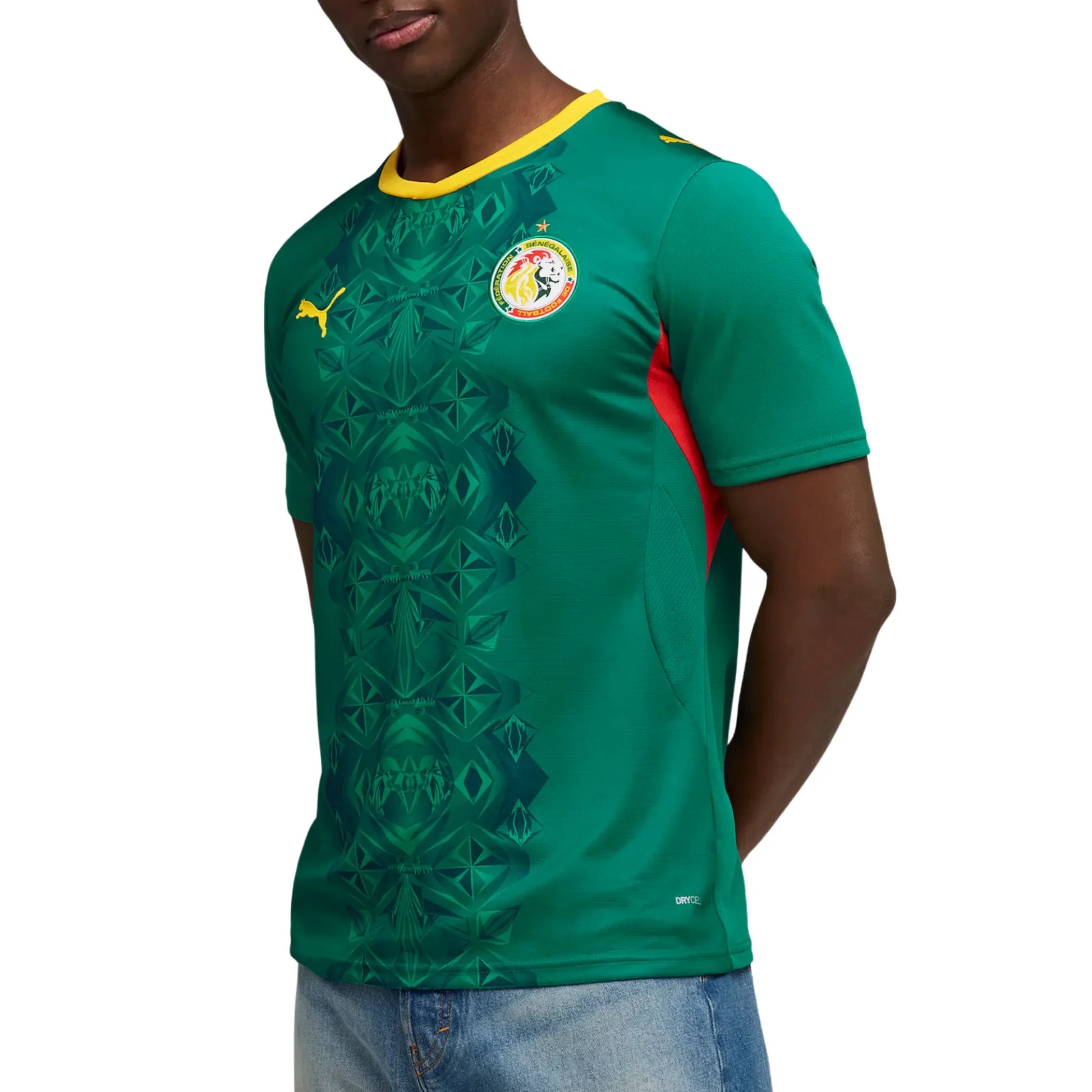Senegal National Team FIFA Puma Men's Green 2026 Away Replica Jersey