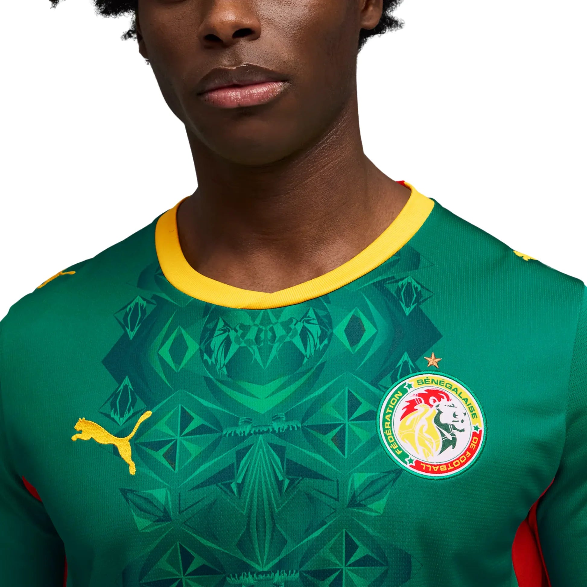 Senegal National Team FIFA Puma Men's Green 2026 Away Replica Jersey