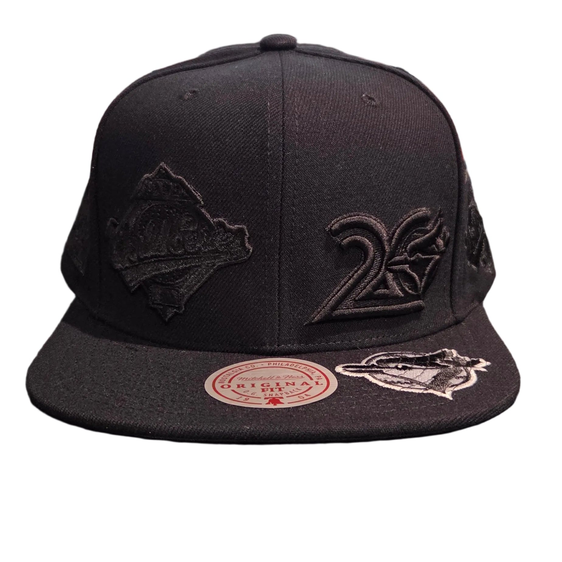 Toronto Blue Jays MLB Mitchell & Ness Men's Black Blacked Out Snapback Hat