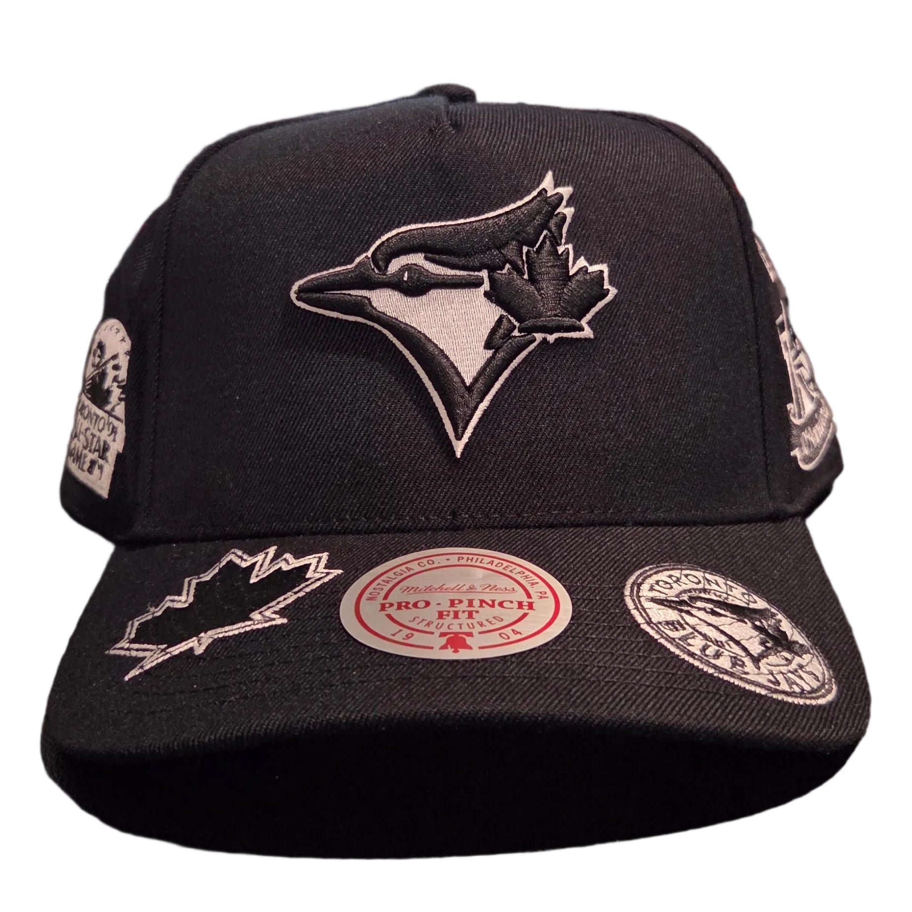 Toronto Blue Jays MLB Mitchell & Ness Men's Black Moonlight A-Frame Snapback Hat