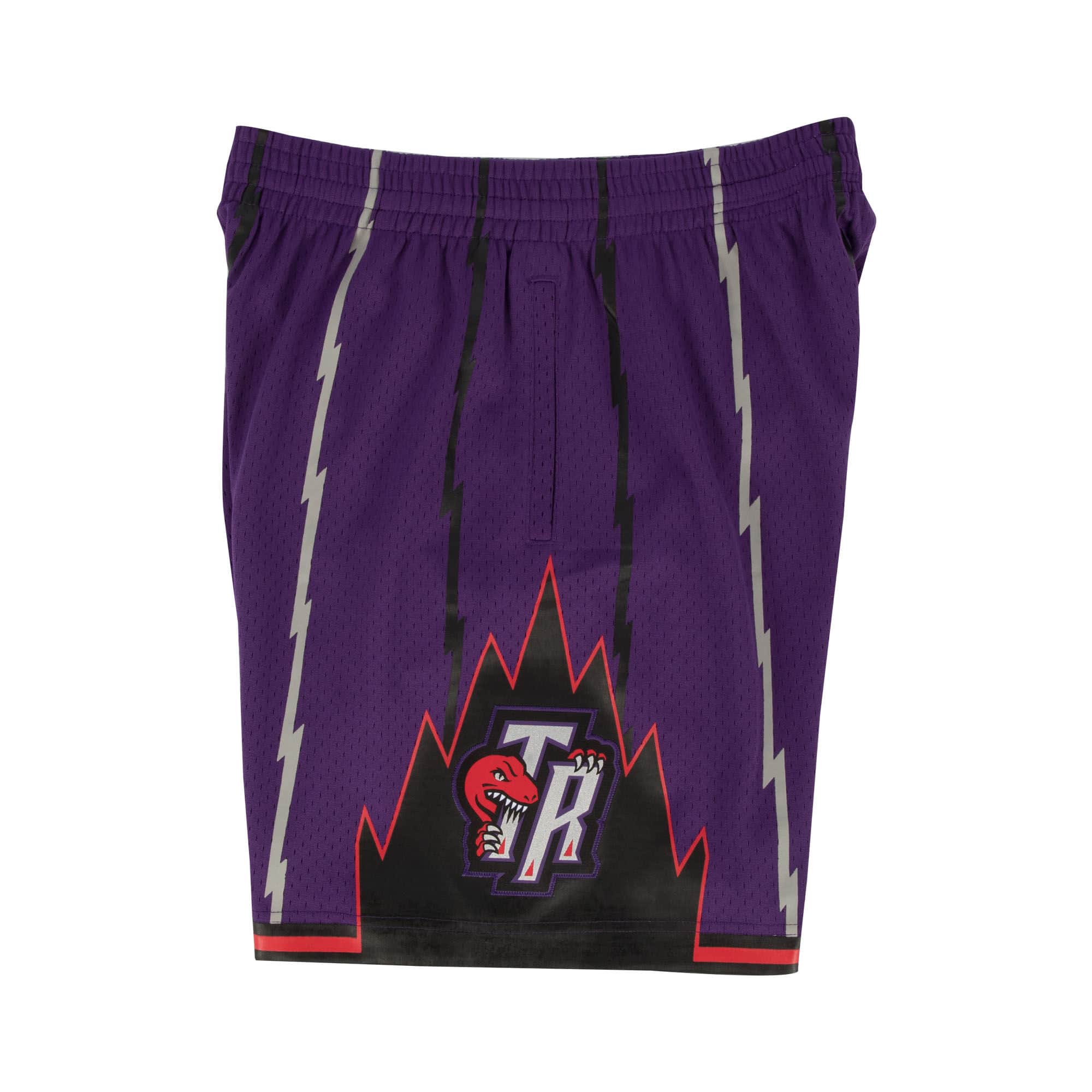 Toronto Raptors NBA Mitchell & Ness Men's Purple 1998-99 Hardwood Classics Swingman Shorts