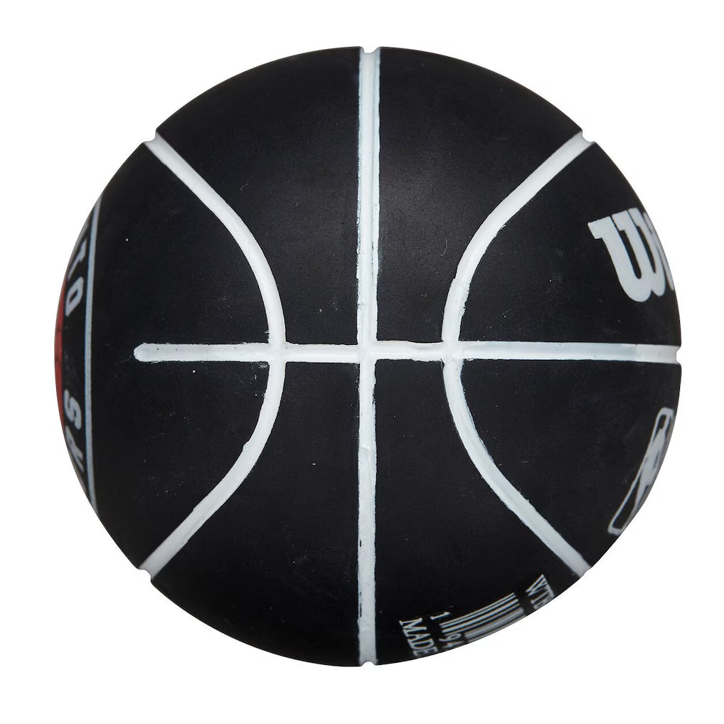 Toronto Raptors NBA Wilson Dribbler Mini Basketball
