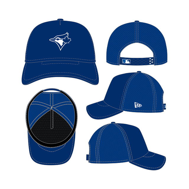 Toronto Blue Jays MLB New Era Men's Blue Batting Practice 9Forty Apex Snapback Hat