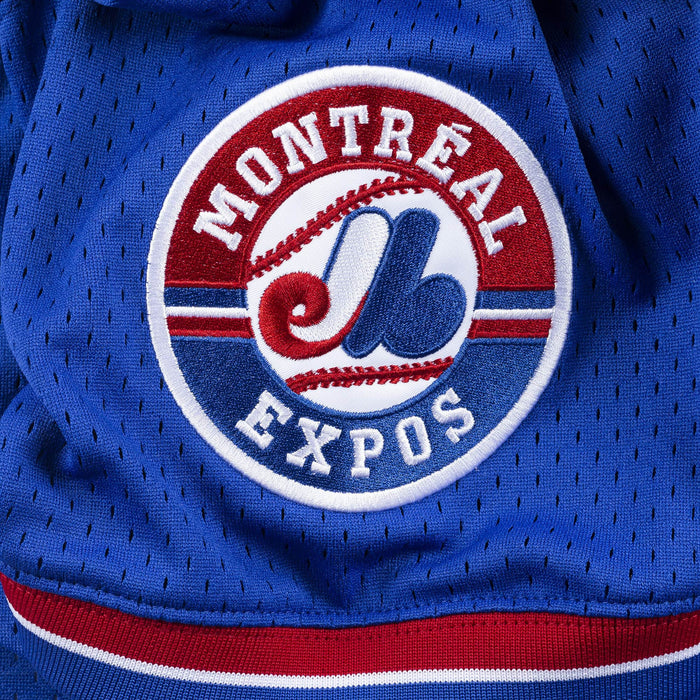 Gary Carter Montreal Expos MLB Mitchell & Ness Men's Navy BP Jersey