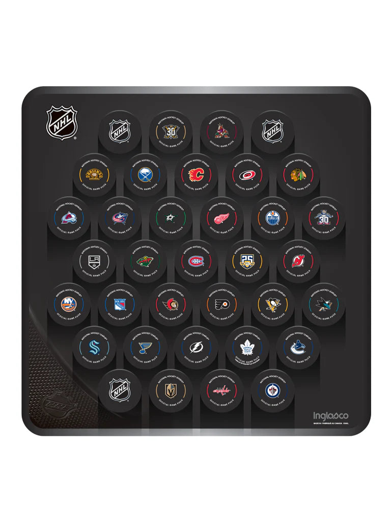 NHL Inglasco 32 Teams 2023-24  Official Game Pucks Hockey Puck Wall Plaque