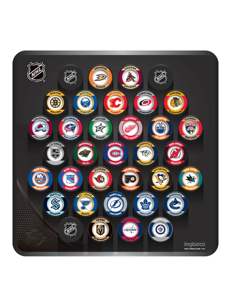 NHL Inglasco 32 Teams Retro Logo Hockey Puck Large Wall Plaque