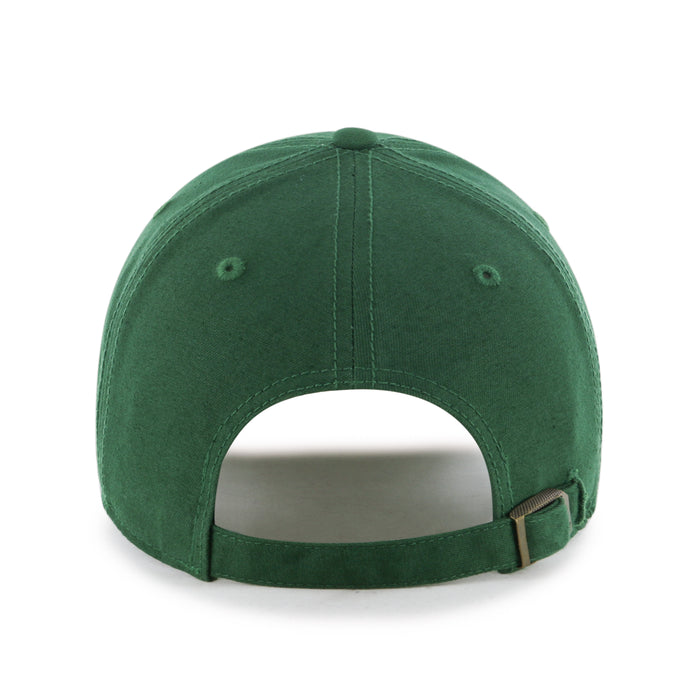 Saskatchewan Roughriders CFL 47 Brand Men's Green Vernon Clean up Adjustable Hat