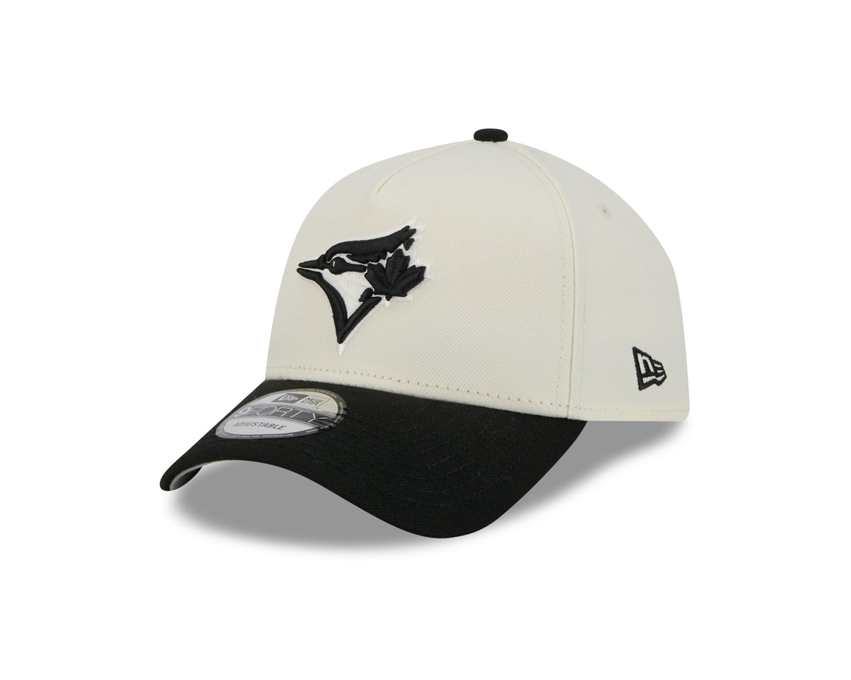Toronto Blue Jays MLB New Era Men's Charcoal/Black 9Forty A-Frame Snapback Hat