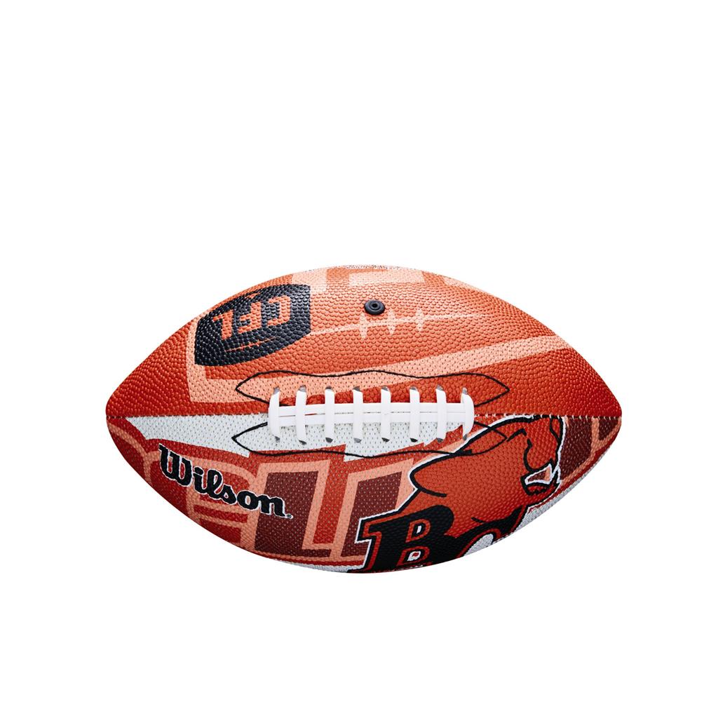 B.C Lions CFL Wilson Wraparound Mini Football
