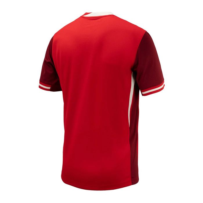 Canada Soccer FIFA Nike Men's Red 2024 Replica Jersey