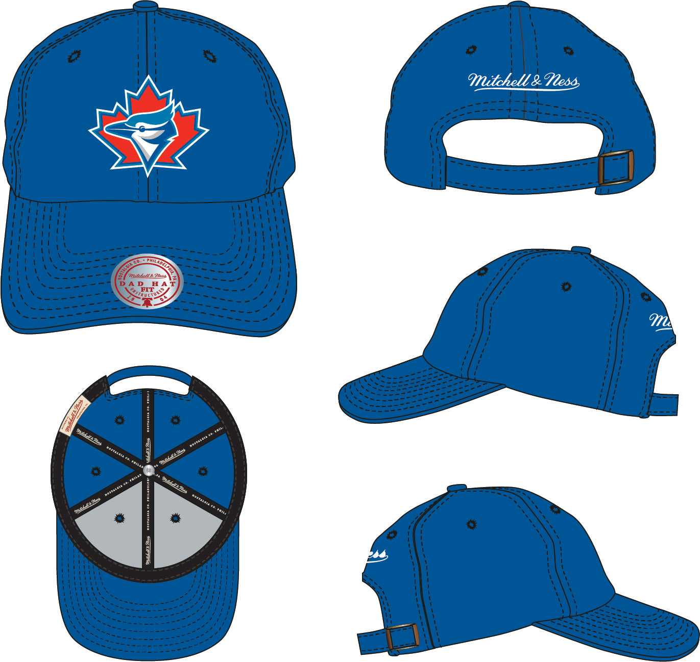 Casquette réglable bleu royal Cooperstown Evergreen MLB Mitchell & Ness des Blue Jays de Toronto pour hommes