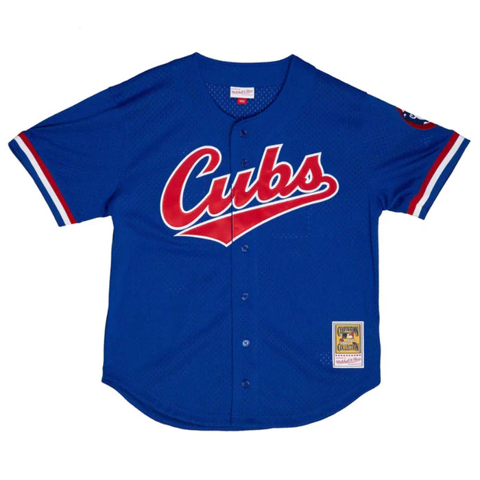 Ryne Sandberg Chicago Cubs MLB Mitchell & Ness Men's Royal 1996 Authentic BP Jersey