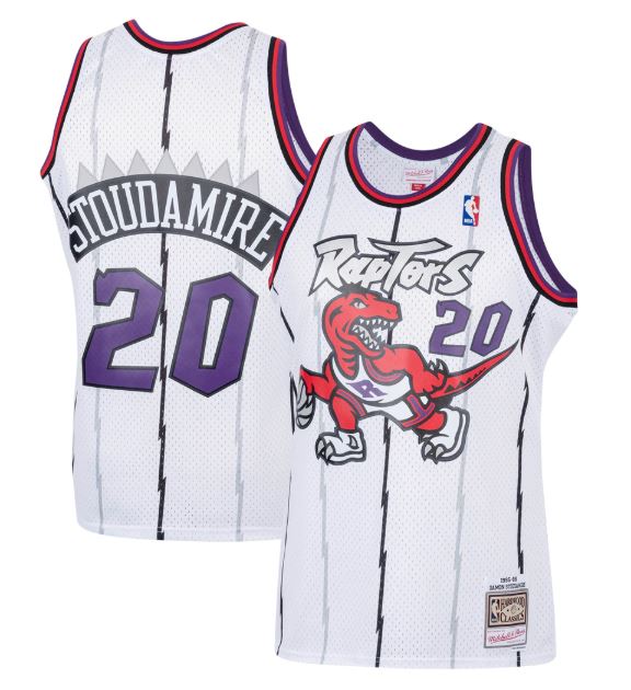 Damon Stoudamire Toronto Raptors NBA Mitchell & Ness Men's White 1995-96 Hardwood Classics Swingman Jersey