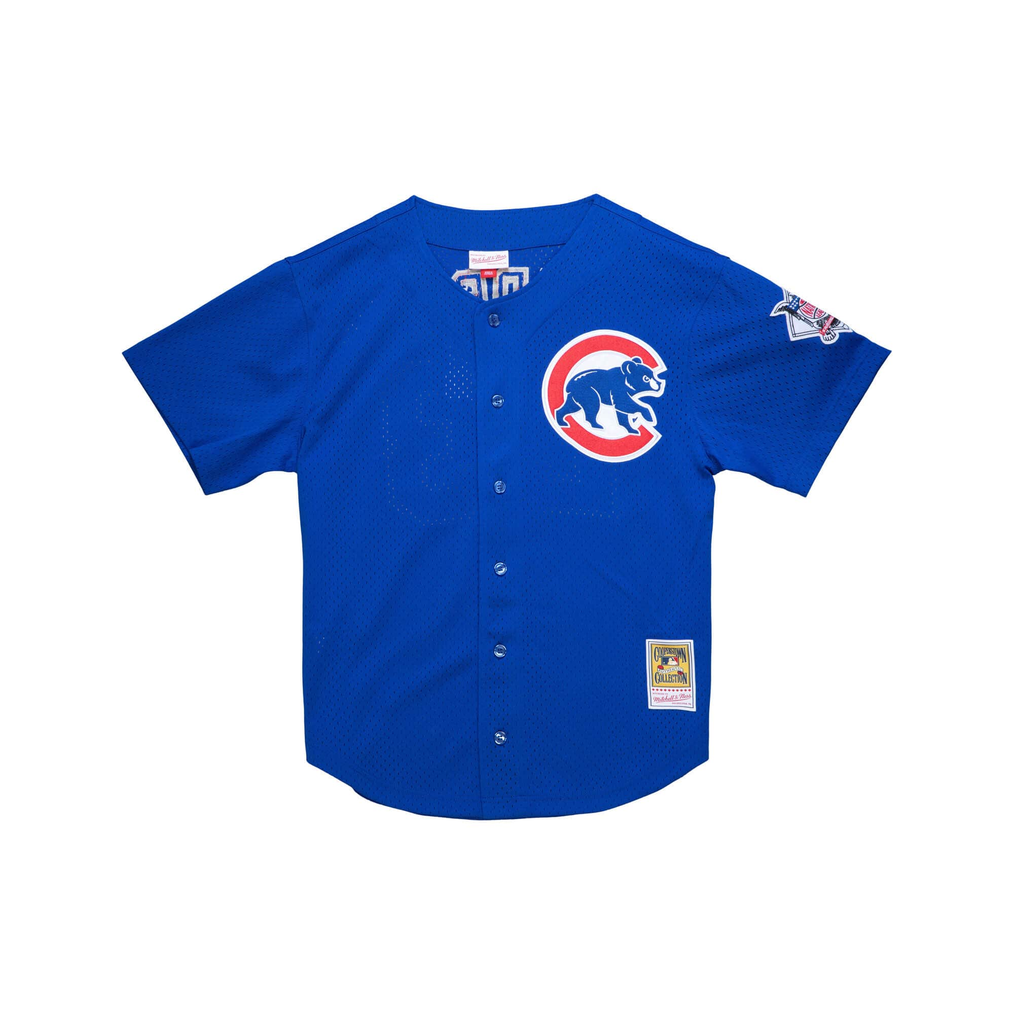 Ryne Sandberg Chicago Cubs MLB Mitchell & Ness Men's Royal 1997 Authentic BP Jersey