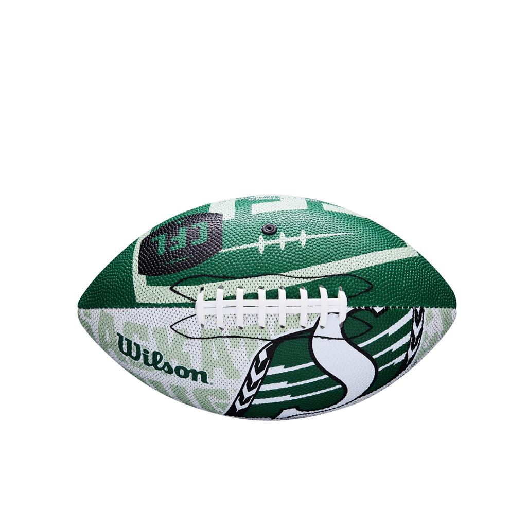 Saskatchewan Roughriders CFL Wilson Wraparound Mini Football