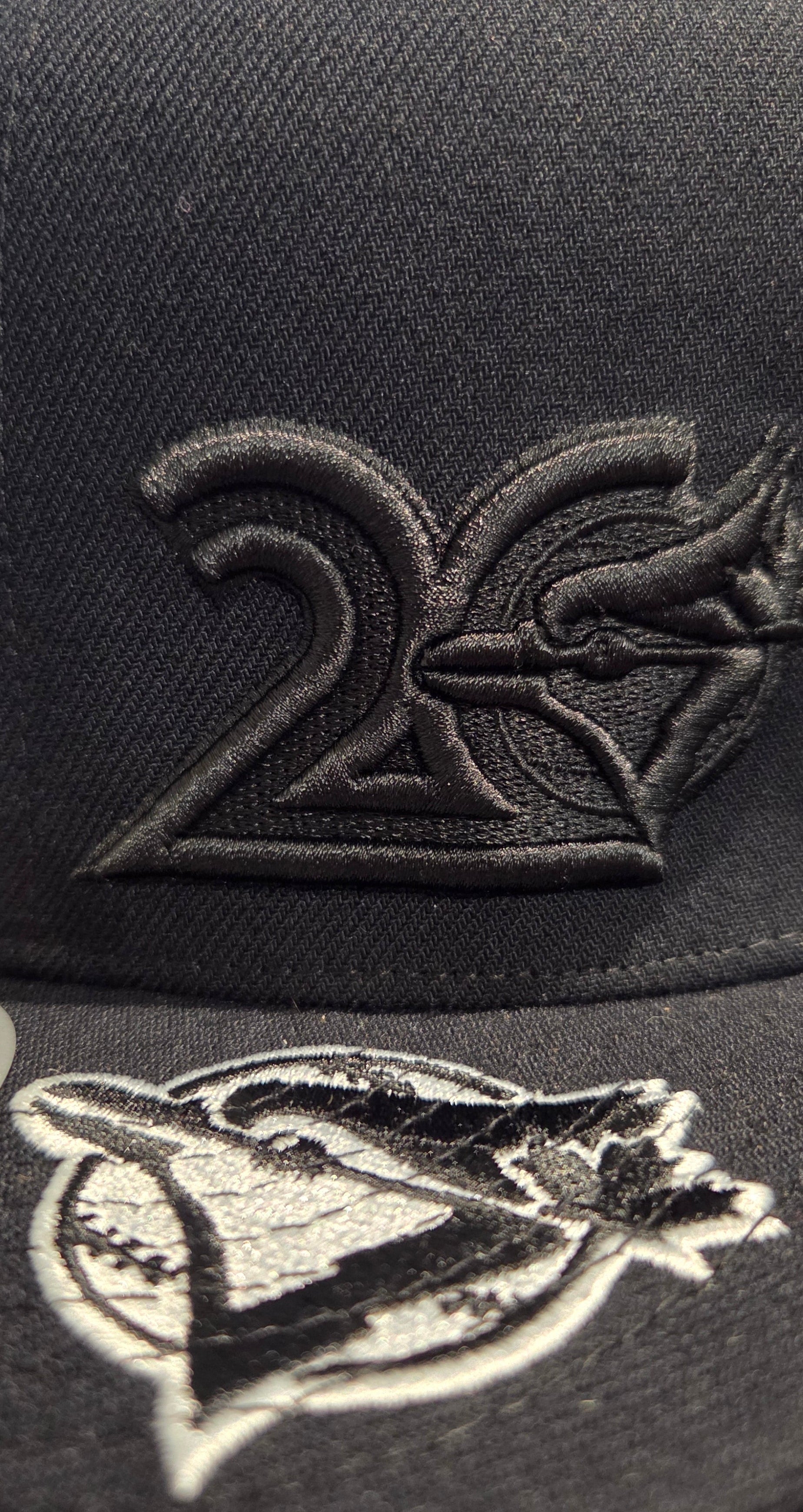 Toronto Blue Jays MLB Mitchell & Ness Men's Black Blacked Out Snapback Hat