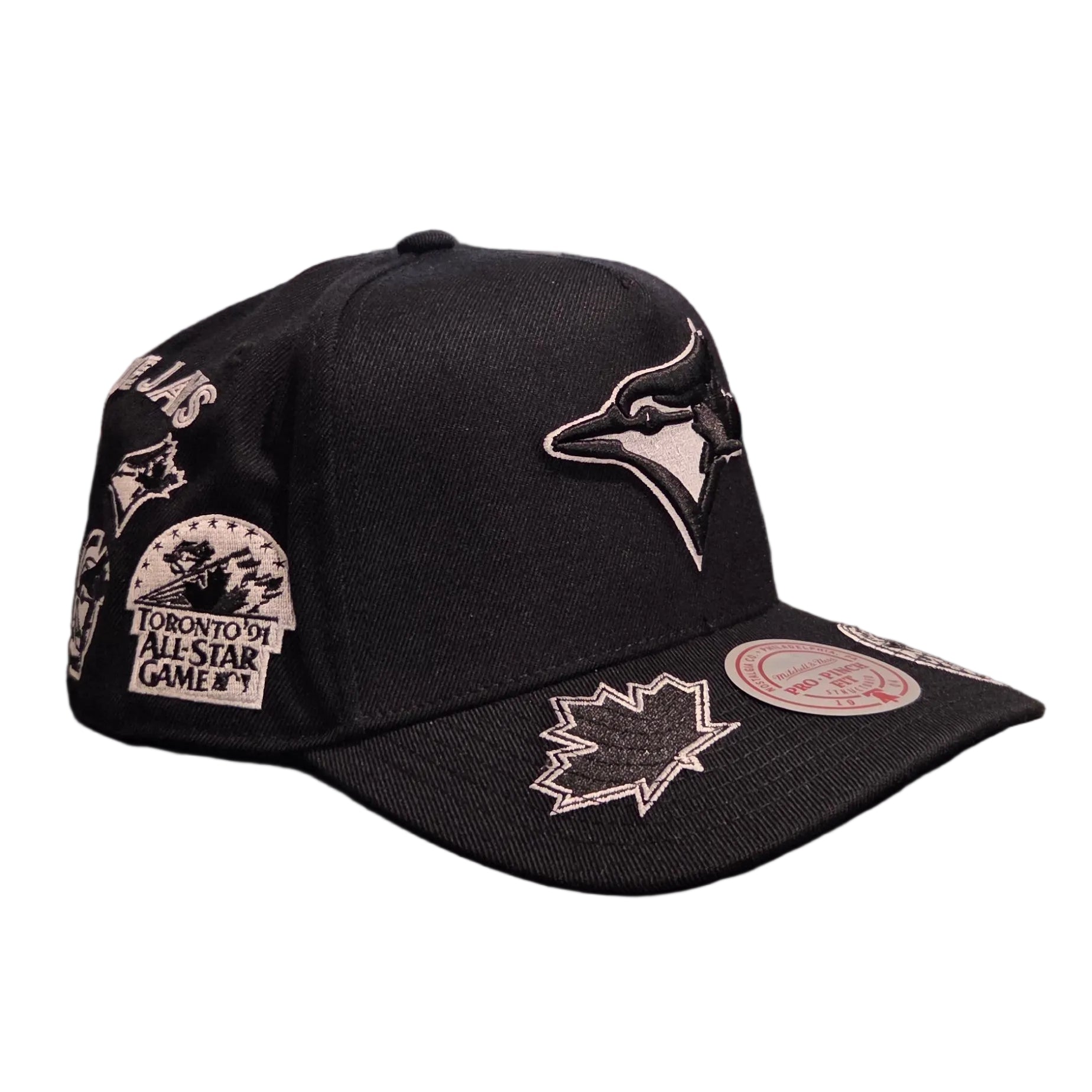 Toronto Blue Jays MLB Mitchell & Ness Men's Black Moonlight A-Frame Snapback Hat