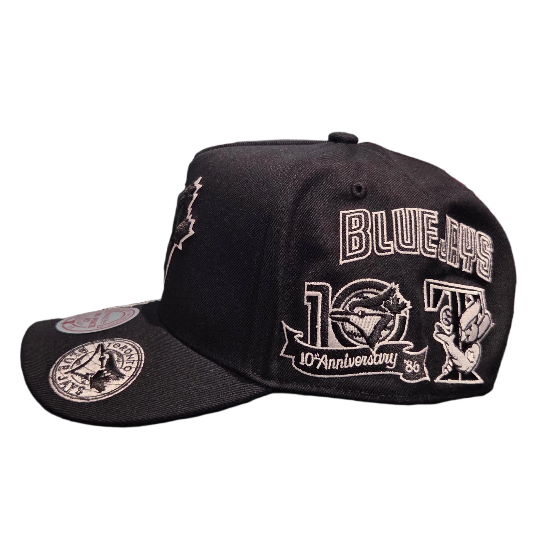 Toronto Blue Jays MLB Mitchell & Ness Men's Black Moonlight A-Frame Snapback Hat