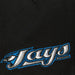 Toronto Blue Jays MLB Mitchell & Ness Mens Black Evergreen Snapback