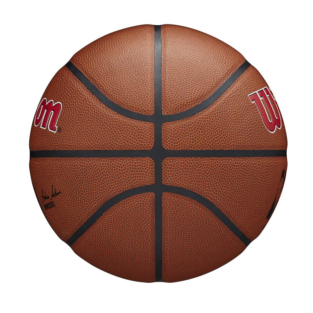 Toronto Raptors NBA Wilson Team Alliance Basketball