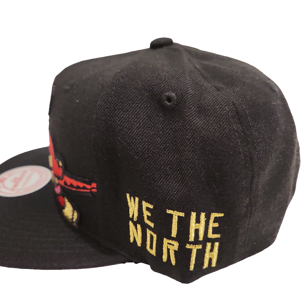 Toronto Raptors NBA Mitchell & Ness pour hommes Noir XL Crop Dino Snapback