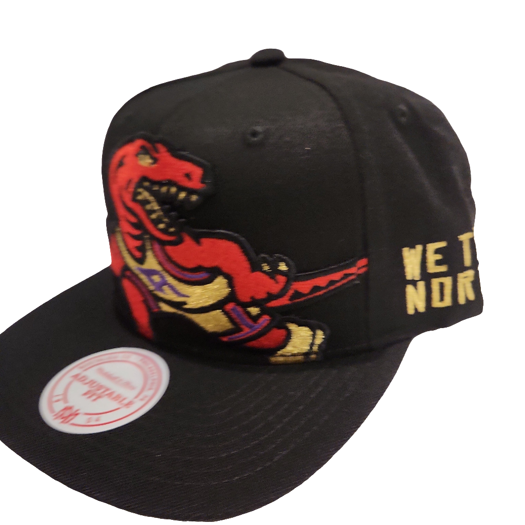 Toronto Raptors NBA Mitchell & Ness pour hommes Noir XL Crop Dino Snapback