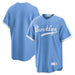 Brooklyn Dodgers MLB Nike Men's Columbia Blue Cooperstown Alternate Replica Jersey
