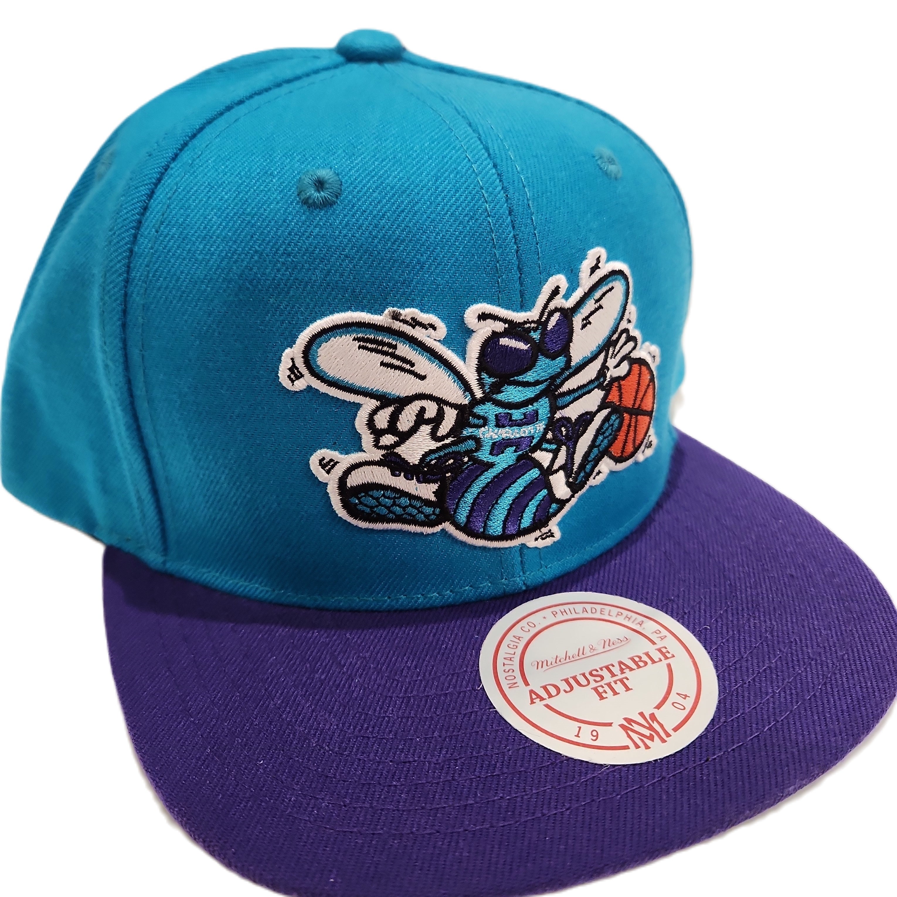 Charlotte Hornets NBA Mitchell & Ness Snapback bicolore sarcelle/violet pour hommes