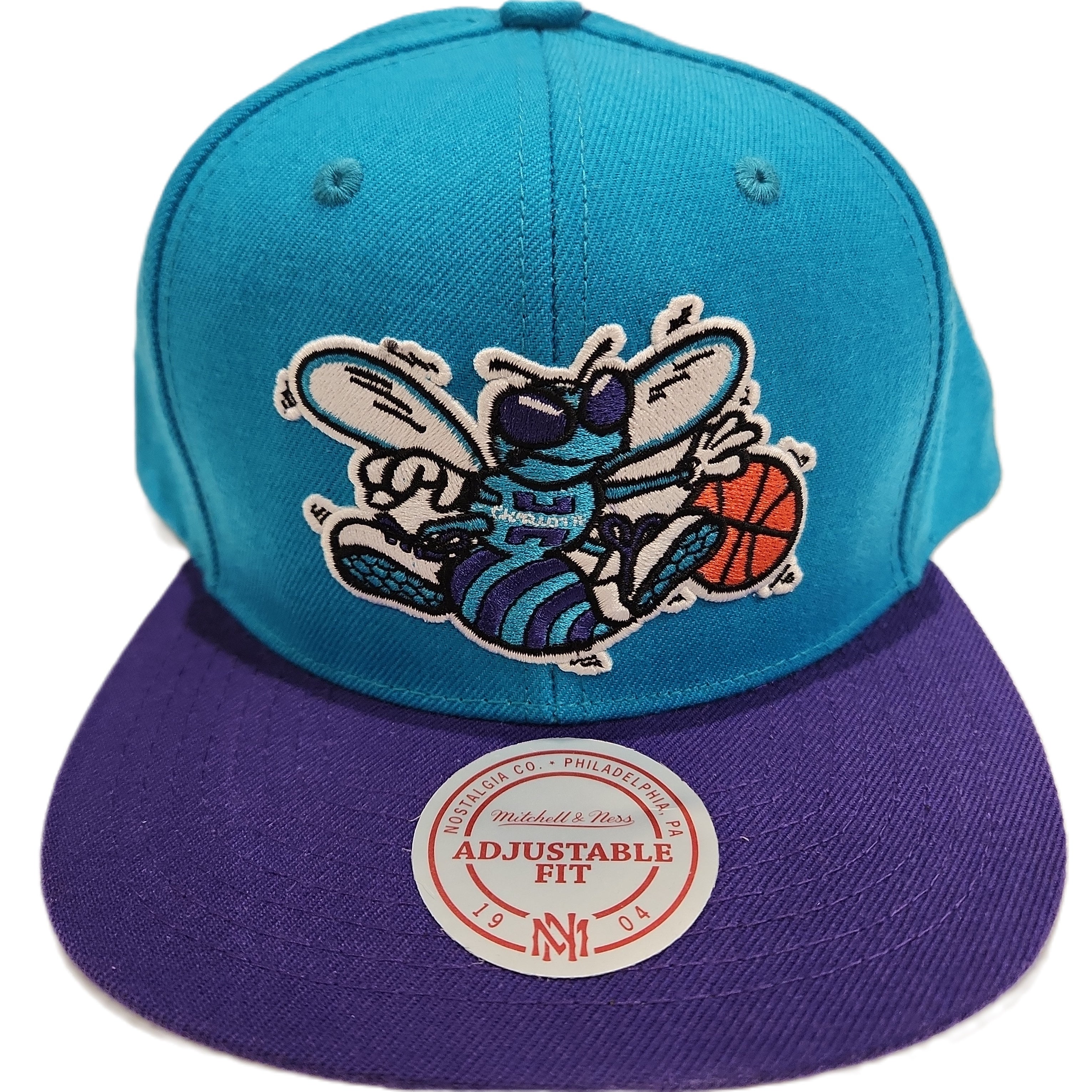 Charlotte Hornets NBA Mitchell & Ness Snapback bicolore sarcelle/violet pour hommes