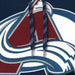 Colorado Avalanche NHL Bulletin Men's Navy Express Twill Logo Hoodie