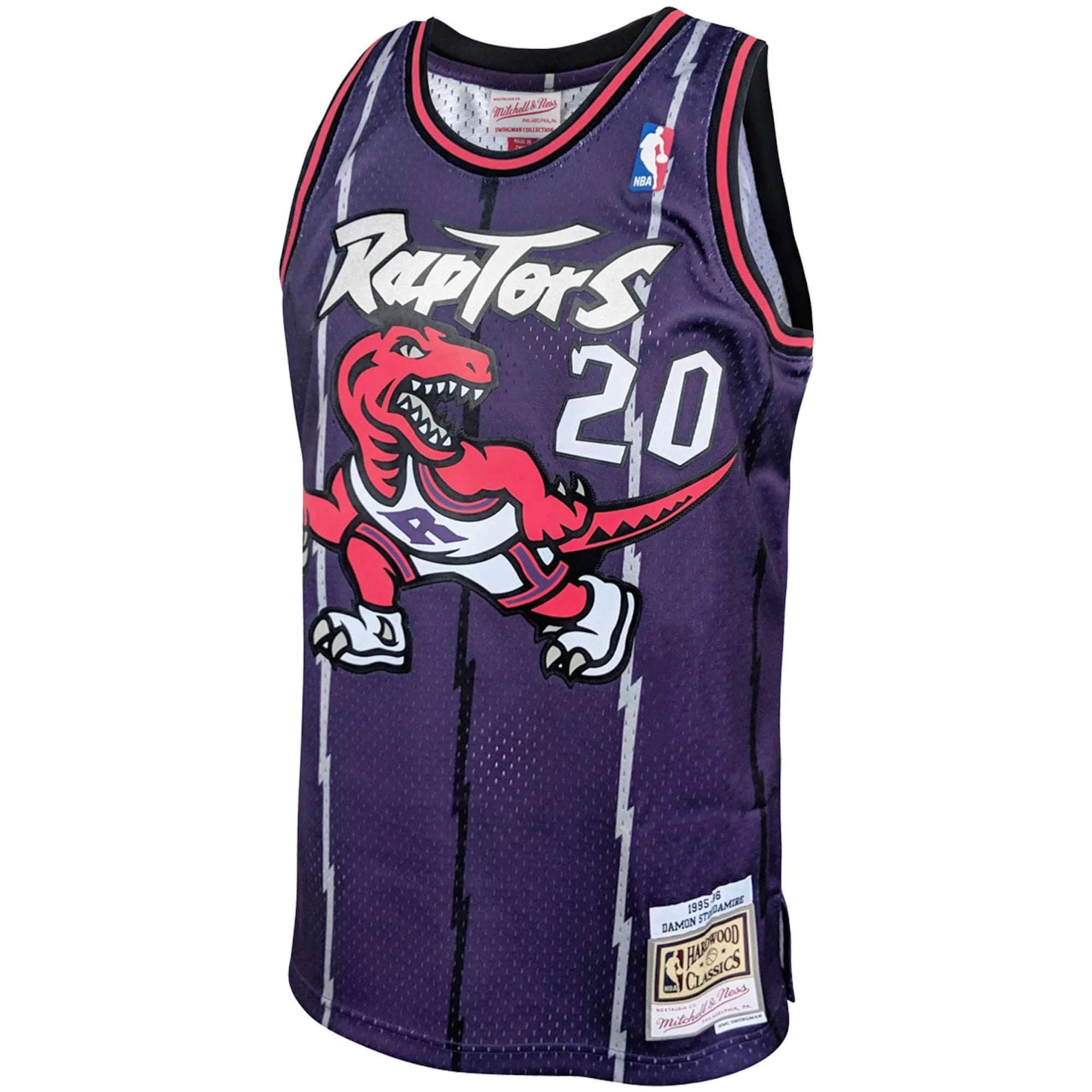 Damon Stoudamire Toronto Raptors NBA Mitchell & Ness Men's Purple 1998-99 Hardwood Classics Swingman Jersey