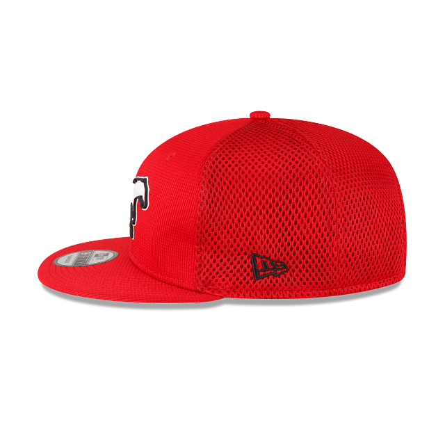 Calgary Stampeders CFL New Era Men's Red 9Fifty Basic Snapback