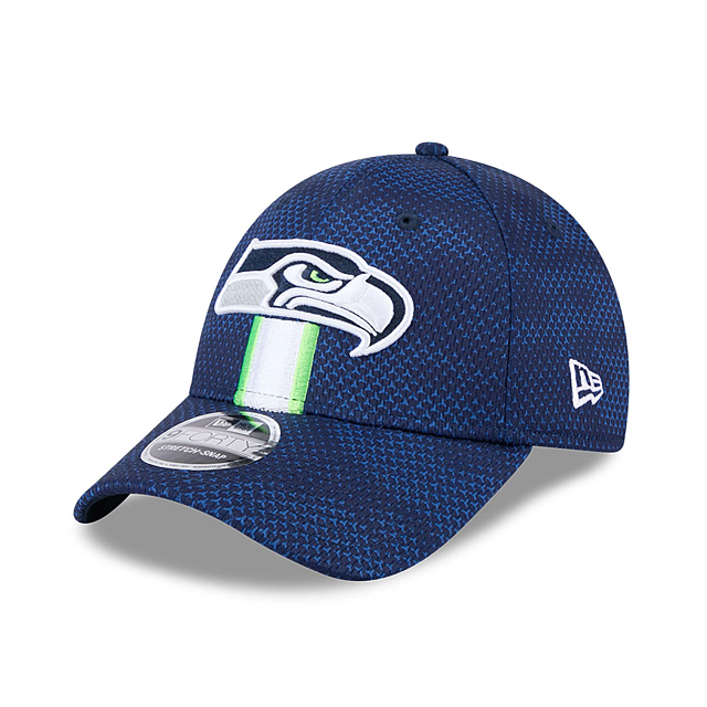 Seattle Seahawks NFL New Era Men's Blue 9Forty 2024 Sideline Stretch Snapback Hat