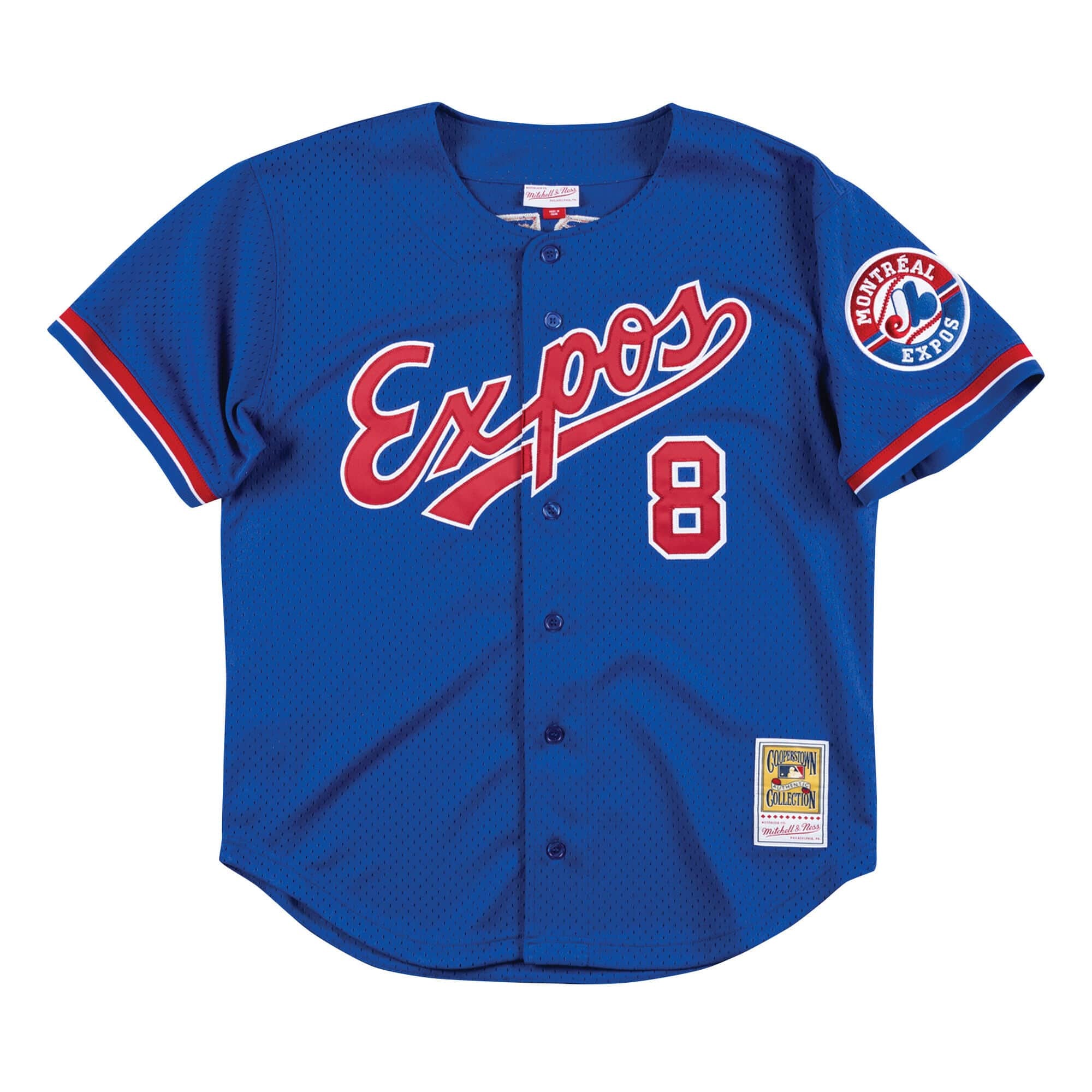 Gary Carter Montreal Expos MLB Mitchell & Ness Men's Navy BP Jersey