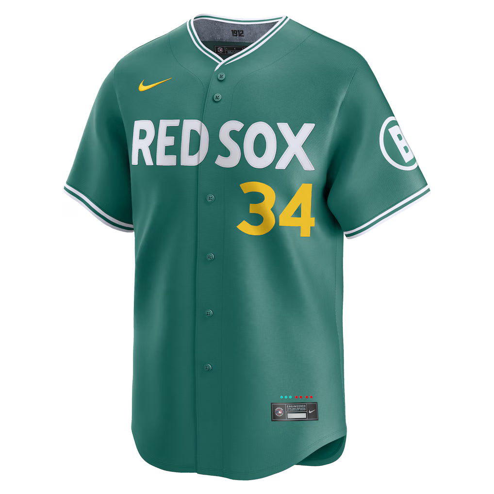 David Ortiz Boston Red Sox MLB Nike Men's Green 2025 City Connect Limited Retired Player Jersey