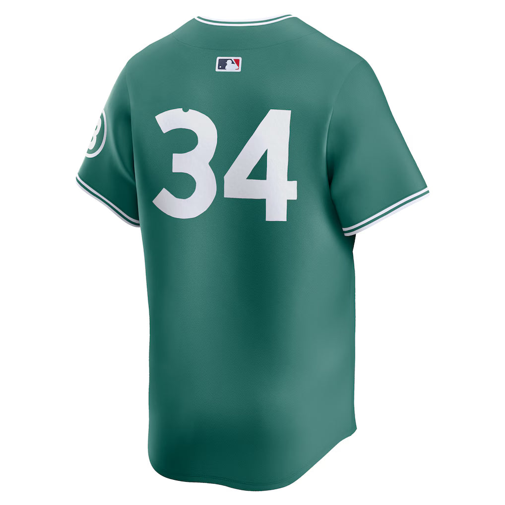 David Ortiz Boston Red Sox MLB Nike Men's Green 2025 City Connect Limited Retired Player Jersey