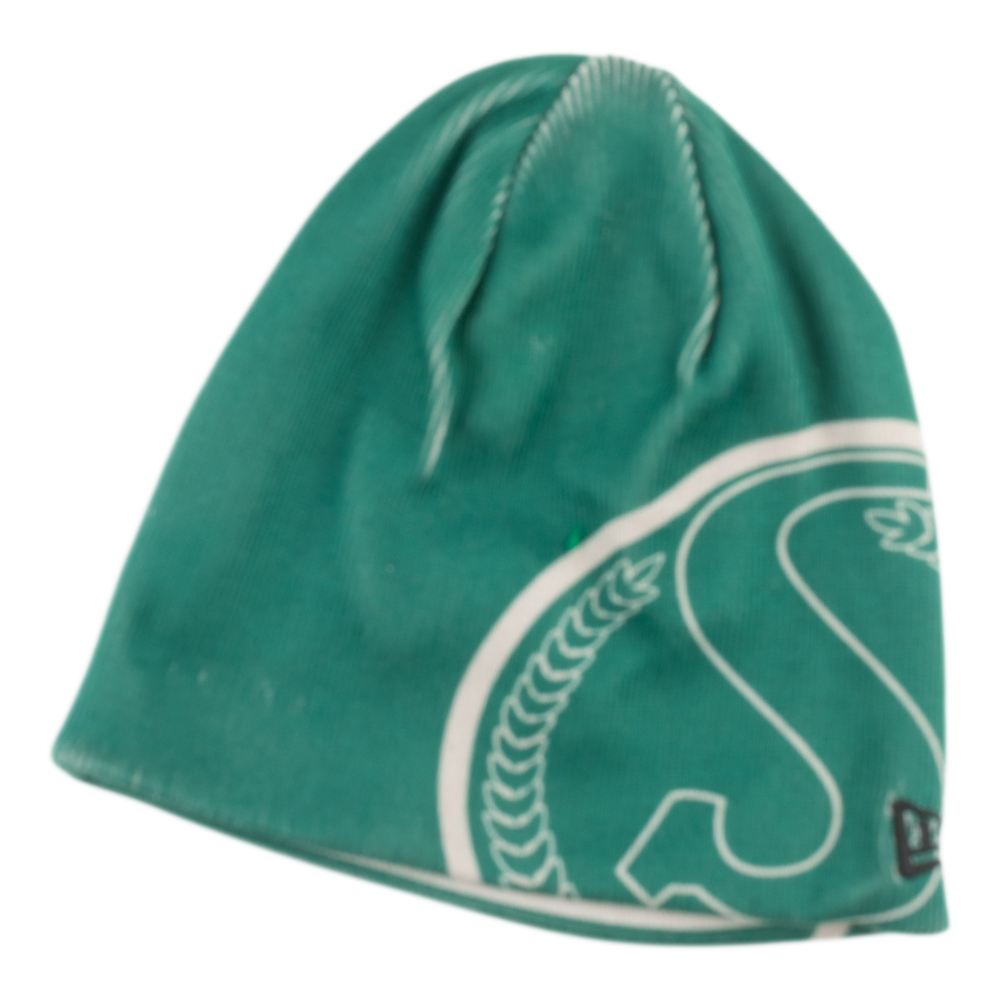 Saskatchewan Rough Riders CFL New Era Men's Green 2026 Turf Traditions Beanie Hat