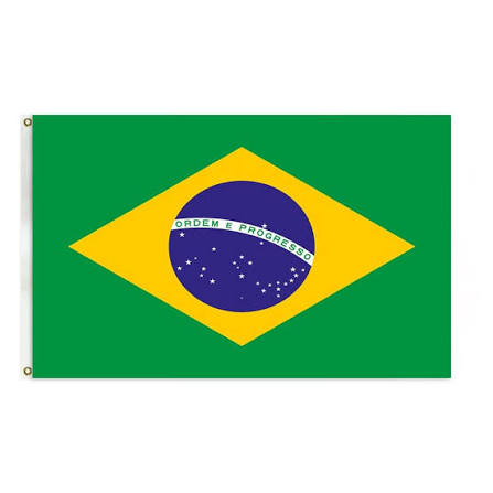 Brazil 3'x5' Country Wall Flag