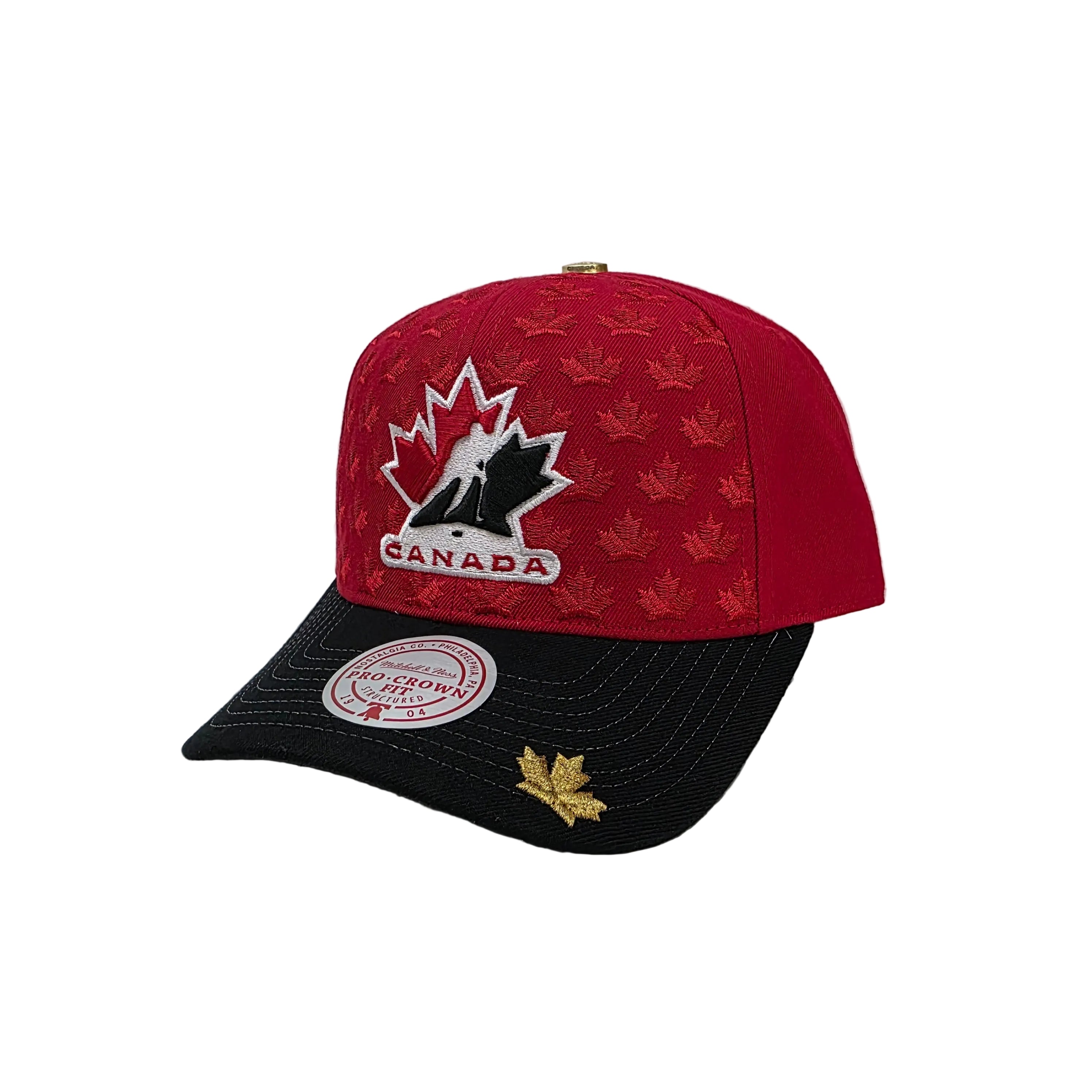 Hockey Canada IIHF Mitchell & Ness Men's Red/Black Leaves Front Pro Crown Snapback