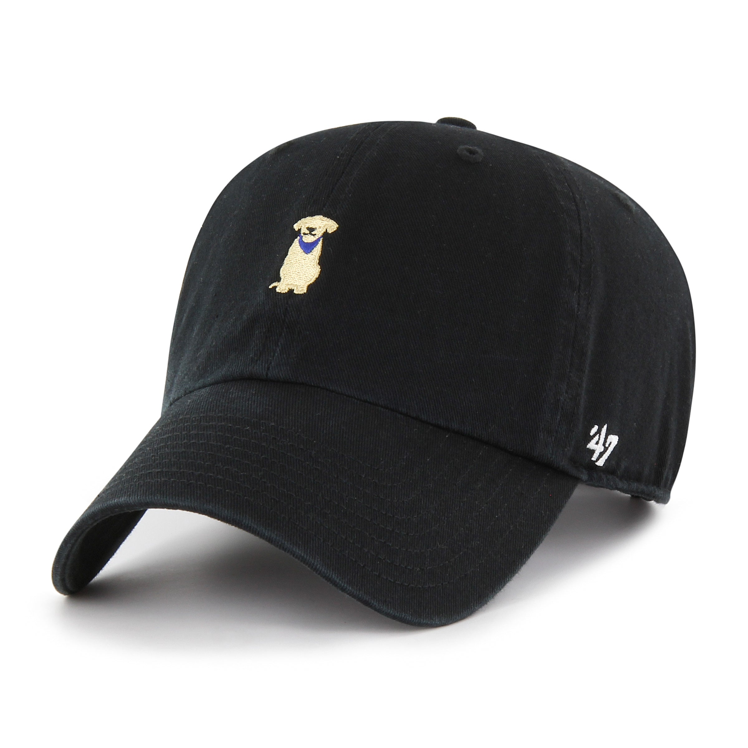 Yellow Lab Canine Collection 47 Brand Chapeau réglable noir pour hommes