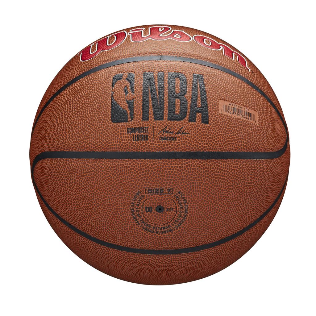 Toronto Raptors NBA Wilson Team Alliance Basketball