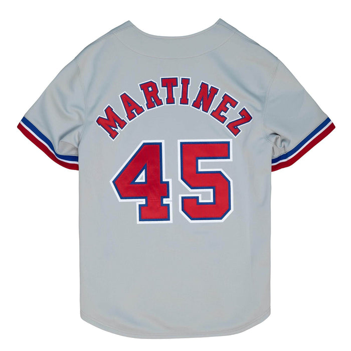 Pedro Martinez Autographed Montreal Expos Custom White Baseball Jersey -  BAS COA