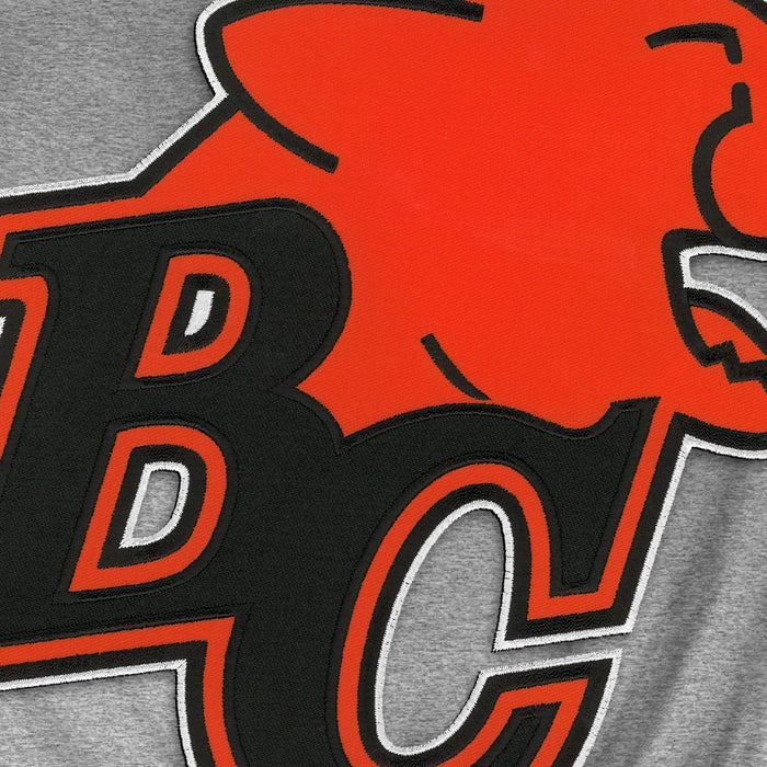 B.C Lions CFL Bulletin Men's Athletic Grey Express Twill Logo Hoodie